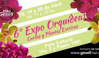 SEXTA EXPO DE ORQUDEAS, CACTUS Y PLANTAS EXTICAS
